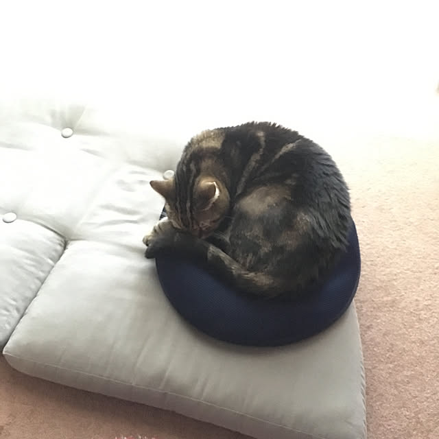 mikomaruさんの実例写真