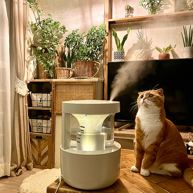 airararaさんの実例写真
