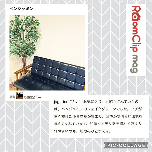 jagaricoさんの実例写真