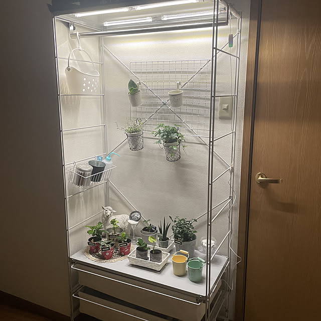 植物棚 植物育成LEDライトのおすすめ商品とおしゃれな実例 植物棚 植物育成LEDライトのおすすめ商品とおしゃれな実例