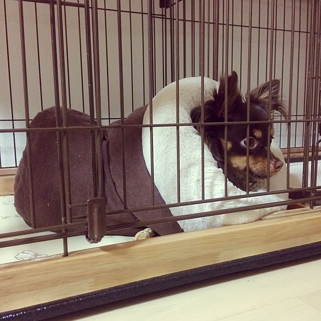 miyuさんの実例写真