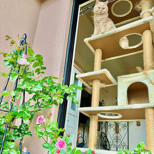naokoさんの部屋