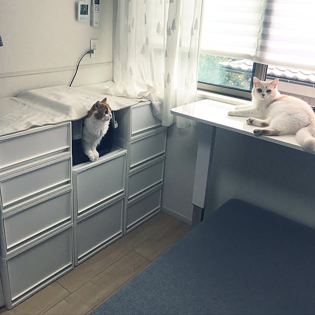 H.Tさんの実例写真