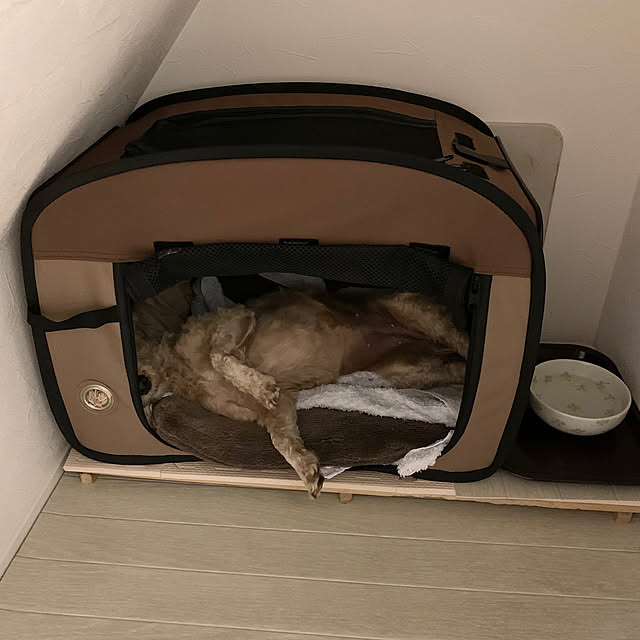 AONAさんの部屋