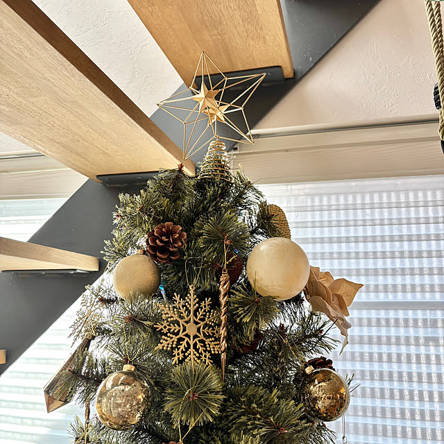 Minteaさんの部屋