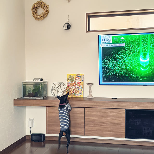 shizuponさんの実例写真