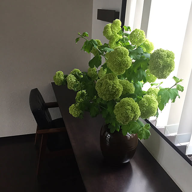 棚のインテリア実例 - 2018-04-17 19:57:01