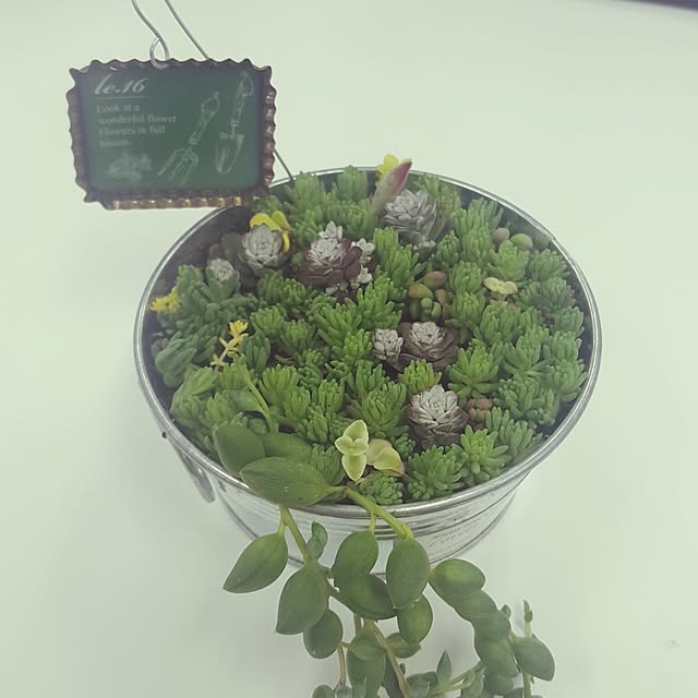 rhuさんの実例写真