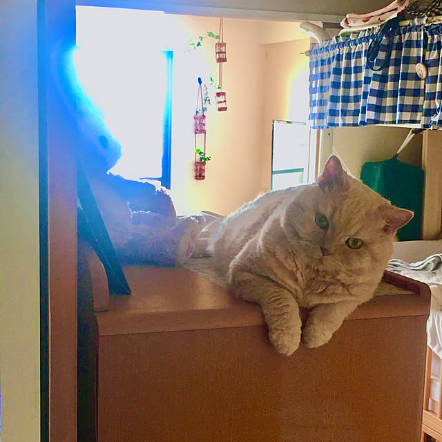 naokoさんの部屋