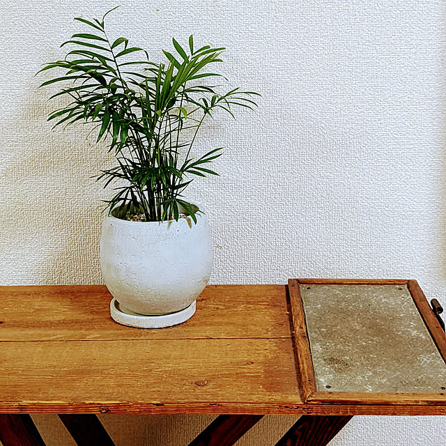 tinycafeさんの実例写真