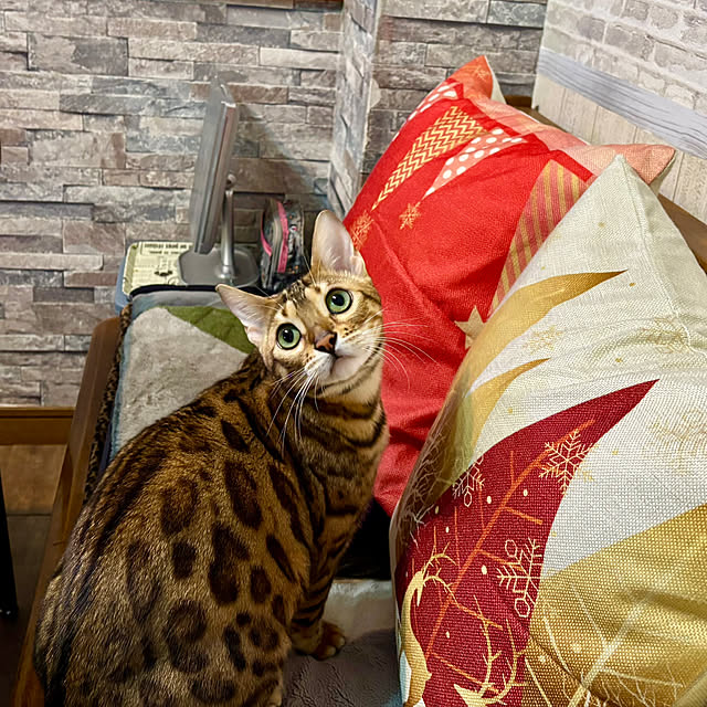 tututu0204さんの部屋