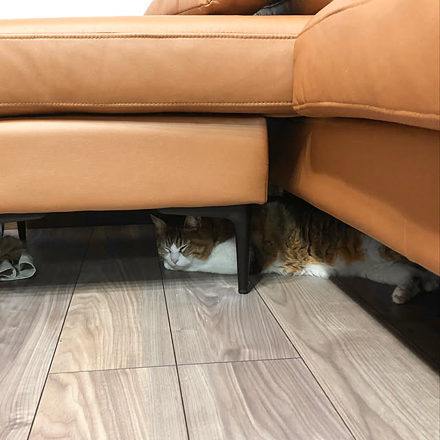 chacoさんの実例写真