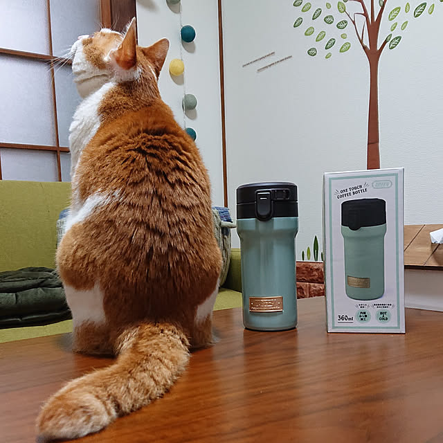 mugi77327732さんの実例写真