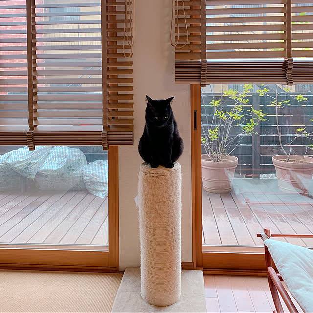 mameazさんの部屋