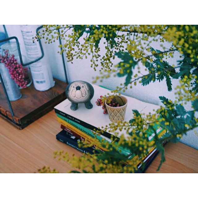 Igako7121さんの実例写真