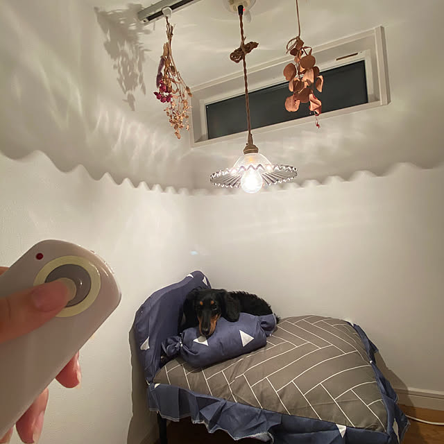 noel.eさんの実例写真