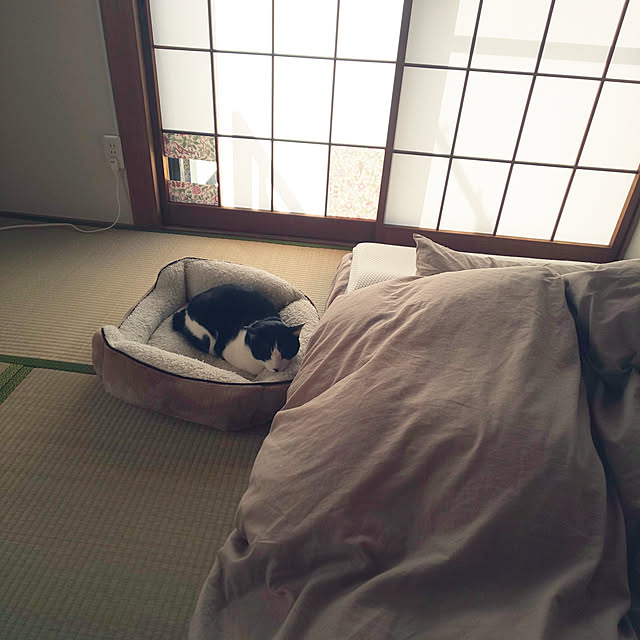 oseroさんの実例写真