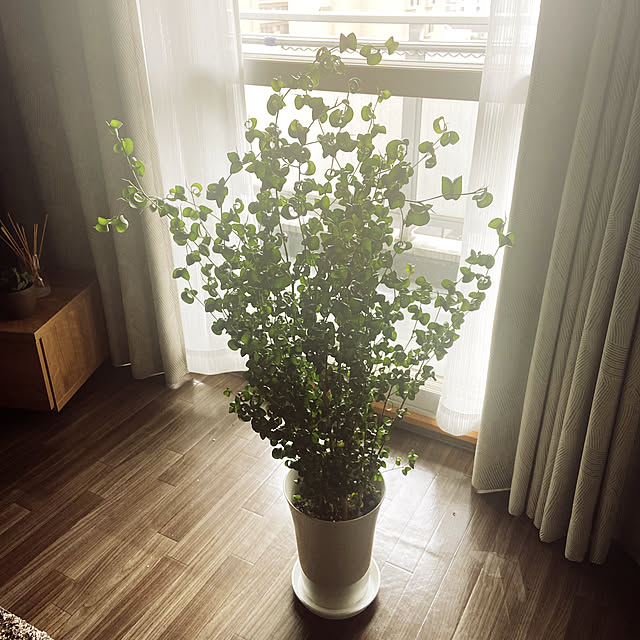 uni_room1124さんの実例写真