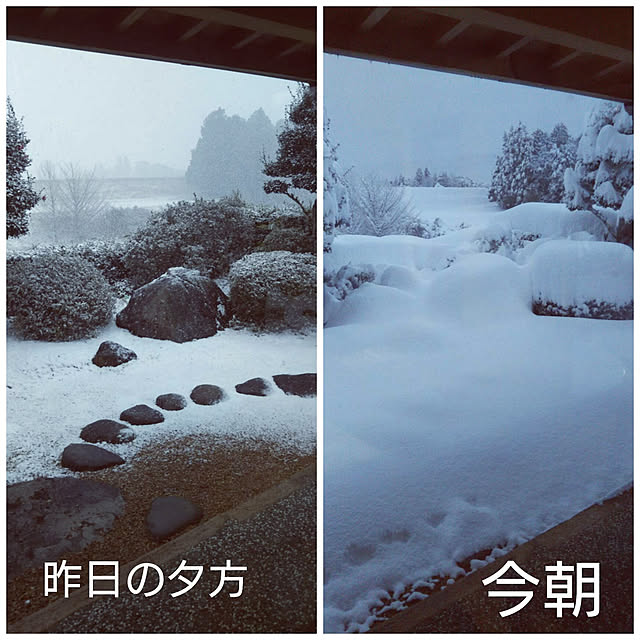 kiyoさんの実例写真