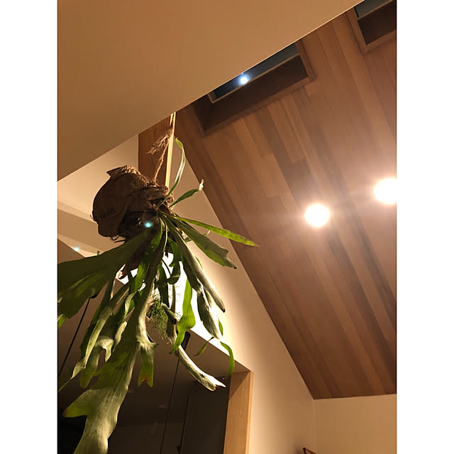 hisaeさんの実例写真