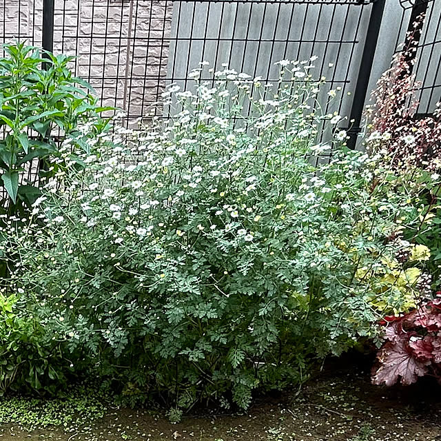 masaさんの部屋