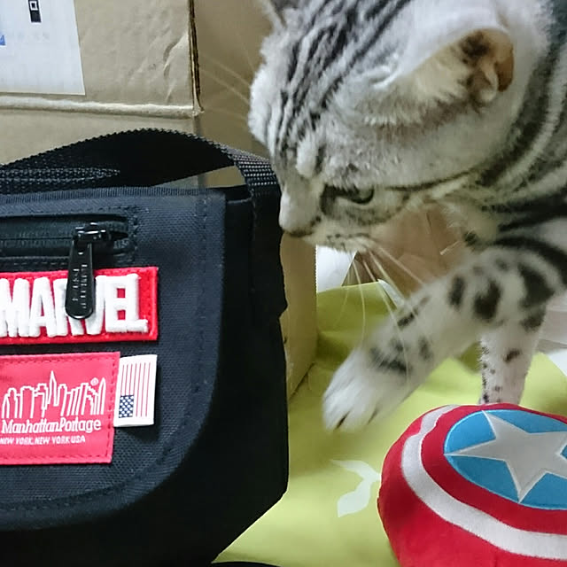 CatClipさんの実例写真