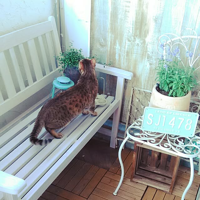 Rabbitさんの実例写真