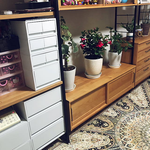 hanachanさんの部屋