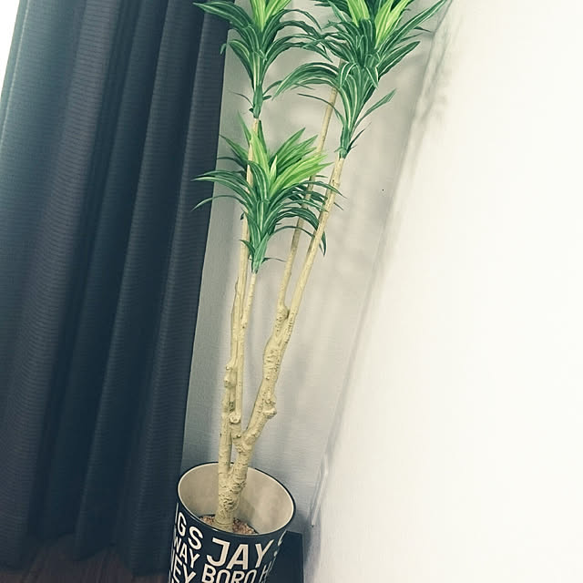 Yukaさんの実例写真