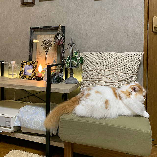 keiさんの実例写真