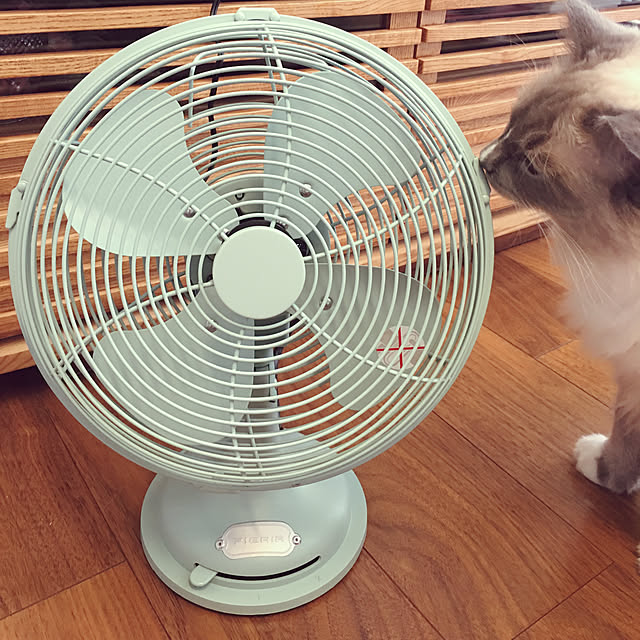 ne-coさんの実例写真