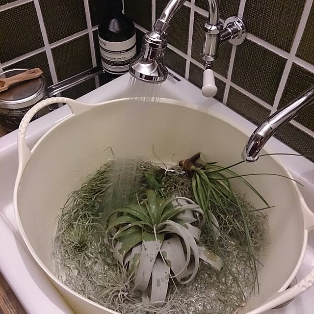 renarionさんの実例写真