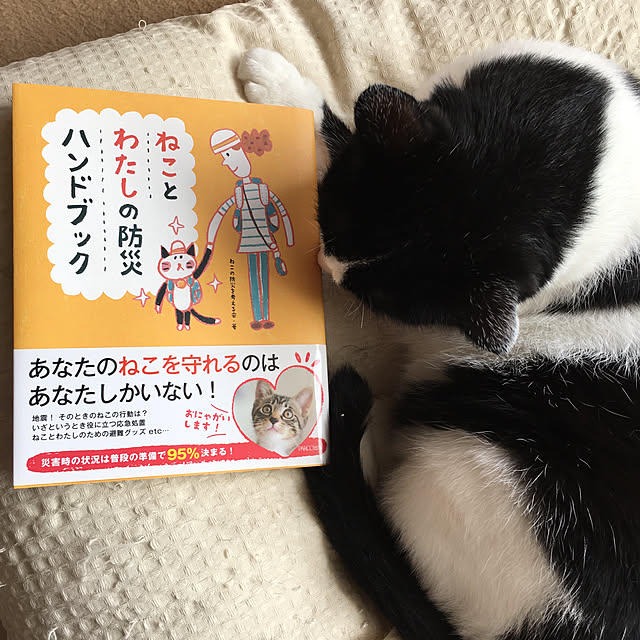 bikkeさんの実例写真