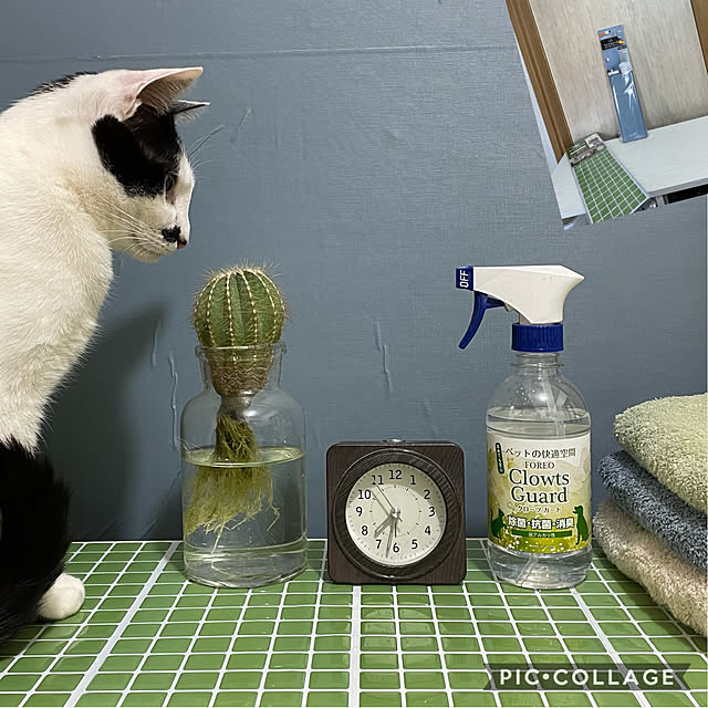 nobikoさんの実例写真