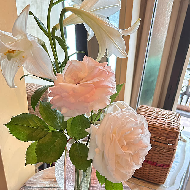 akaidarumaさんの部屋