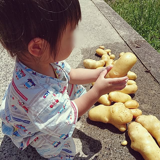 ri-eさんの実例写真