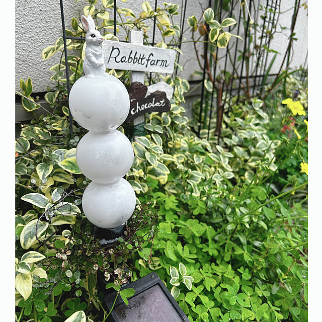 portulacaさんの実例写真