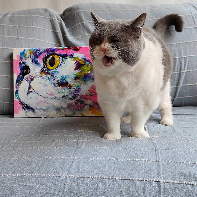 mohayaeteさんの実例写真