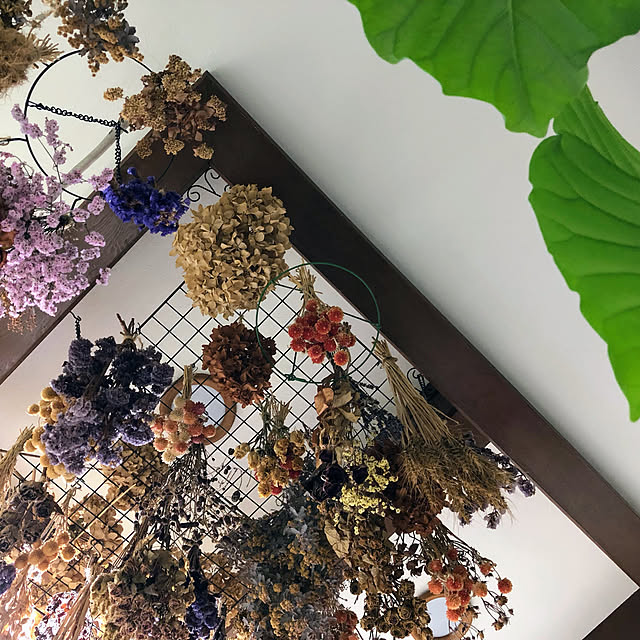 mohhaさんの実例写真
