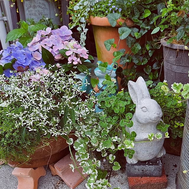 mocomocoさんの部屋