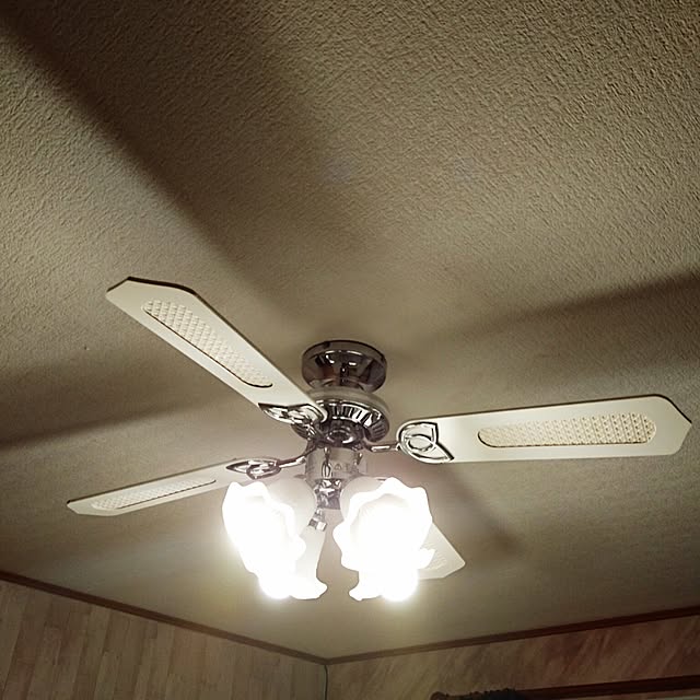 chanさんの実例写真