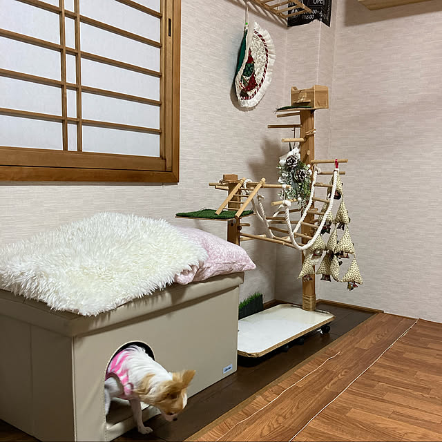 toratanさんの実例写真