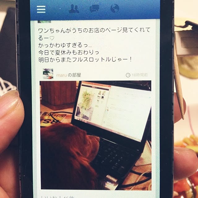 maruさんの実例写真