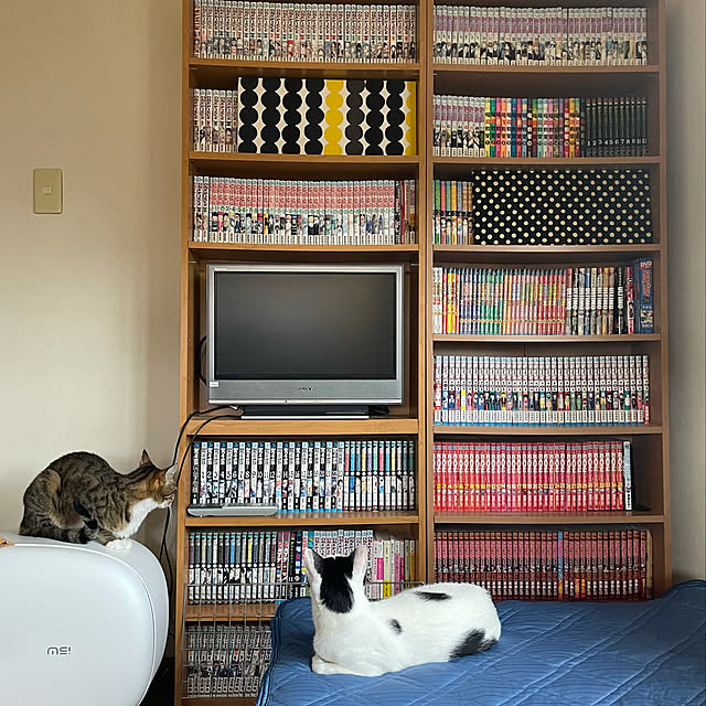 nobikoさんの実例写真