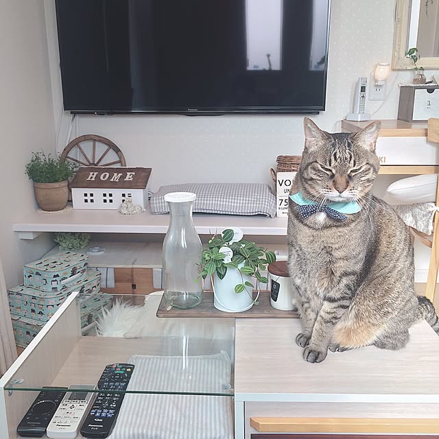 lovecatさんの実例写真