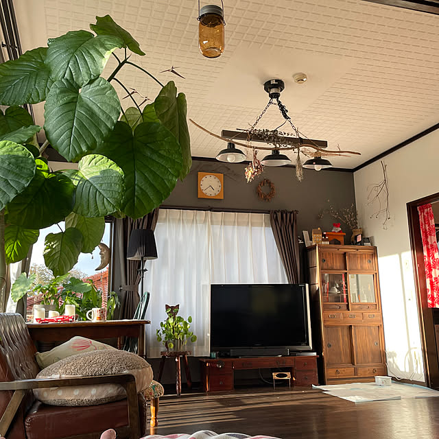 壁/天井/観葉植物/アンティーク/ソファのインテリア実例 - 2023-10-13 21:12:19