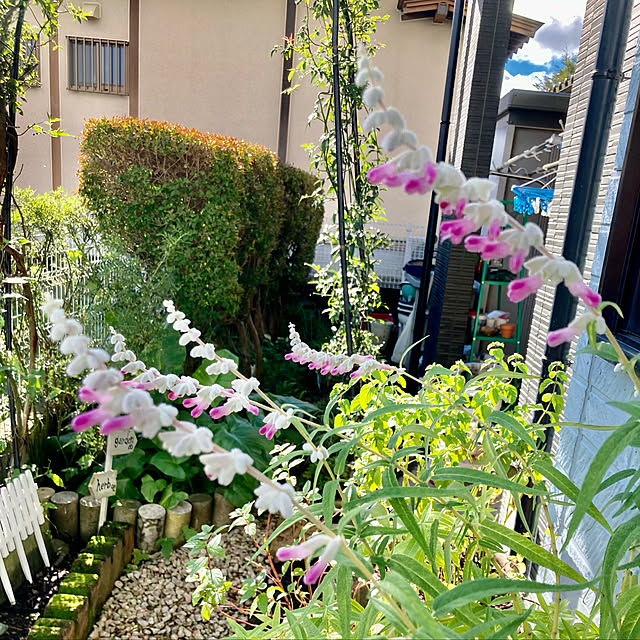 CoCo0617さんの実例写真