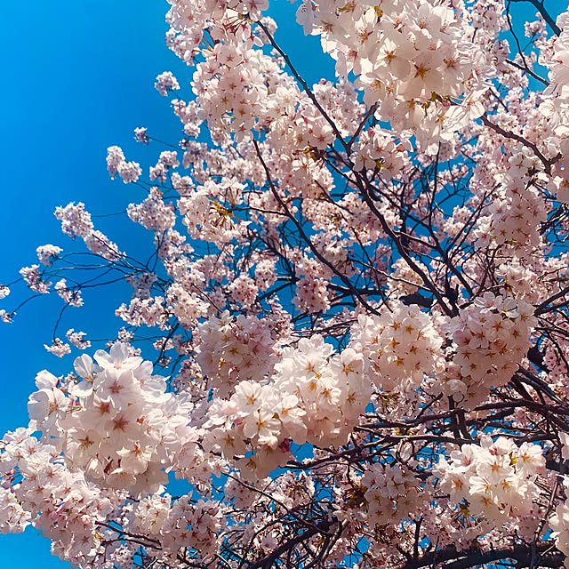 tututu0204さんの部屋