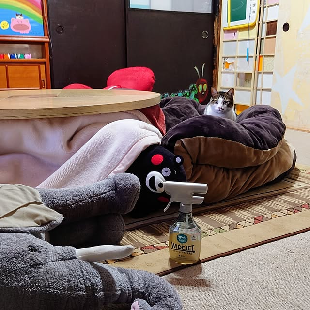 kikuさんの部屋