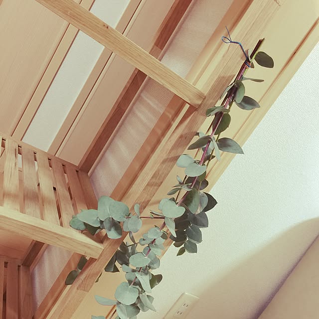 chapurinさんの実例写真